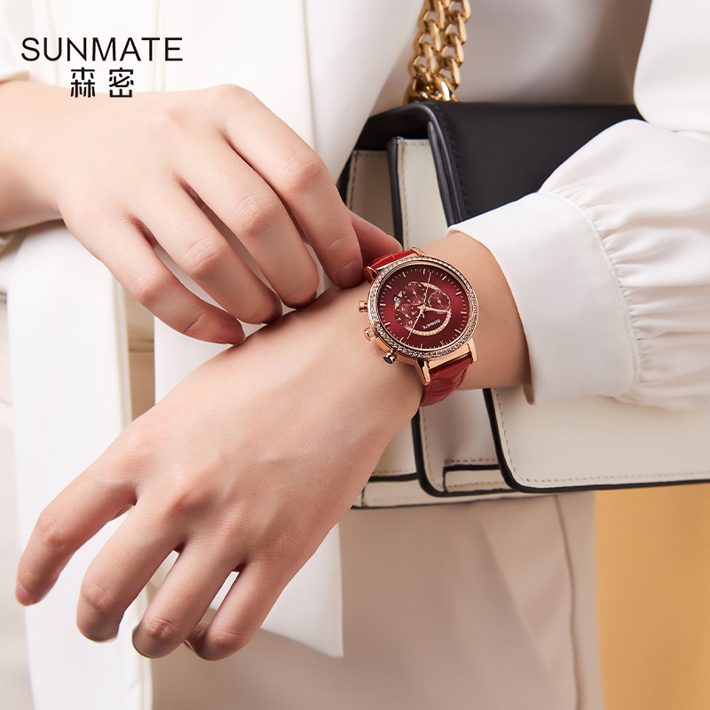 Reloj SUNMATE de lujo y elegan - Luxury Watch Tier reseña y precio